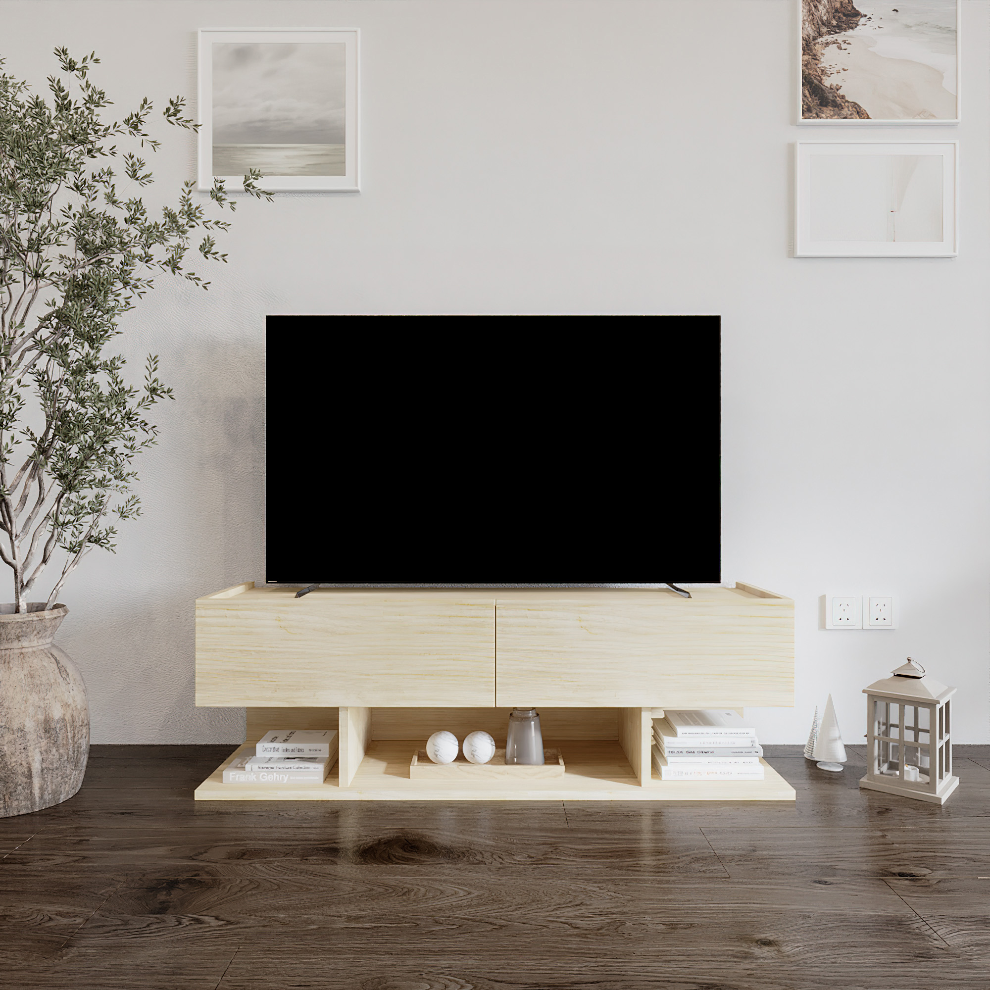 ANEMONE TV UNITS